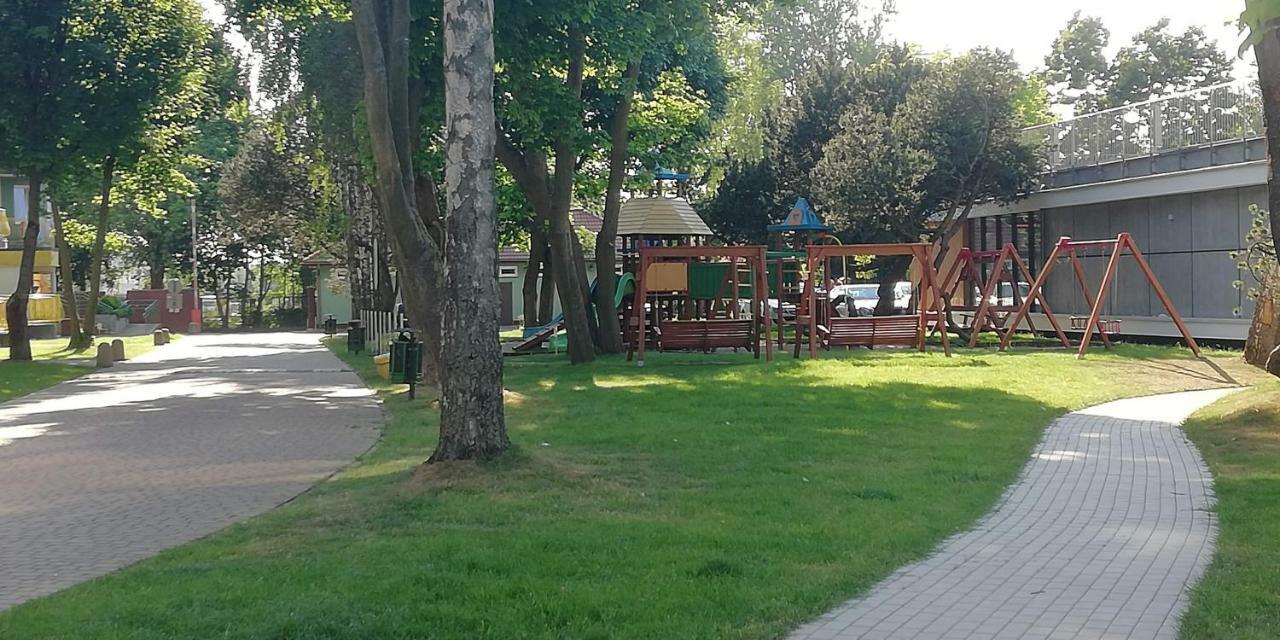 Słoneczny *